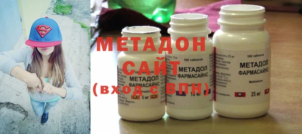 прущие грибы Алзамай
