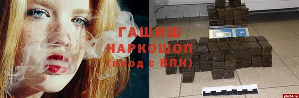 прущие грибы Алзамай