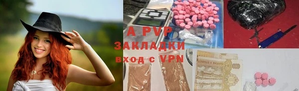 индика Алексеевка