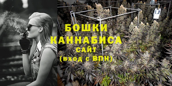 PSILOCYBIN Абаза