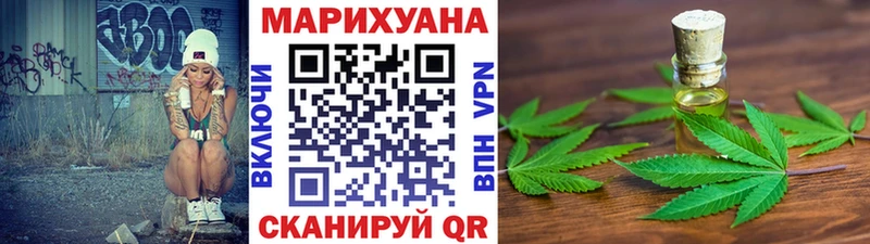 где можно купить наркотик  Королёв  Каннабис сатива 